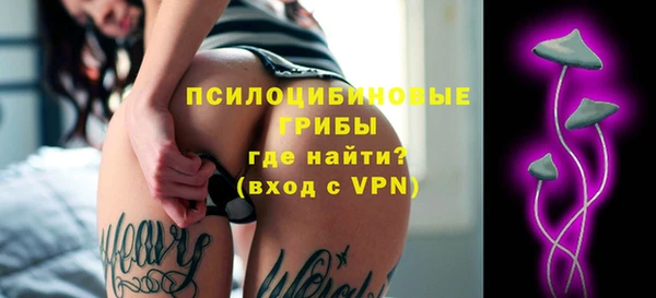 эйфоретик Арсеньев