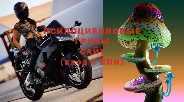 эйфоретик Арсеньев
