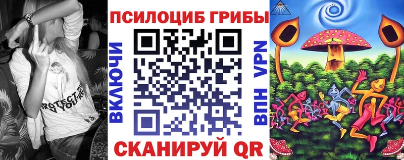 Псилоцибиновые грибы Cubensis наркота Камбарка